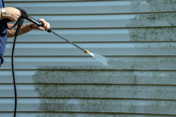 Best Patio and Deck Pressure Washing  in Cornelia, GA